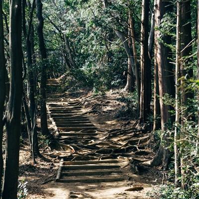 横戈跃马，川流不息 —— 横河川仪EJA系列...