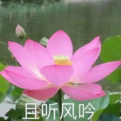 人民日报社参加第34届中国新闻奖融合报道、应用创新和新媒体新闻专栏初评作品公示