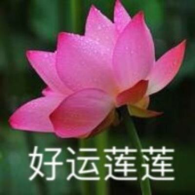 Z世代唱享中国·江南文化 | 聆听水乡一曲山歌悠扬，踏寻古镇百年红色回响