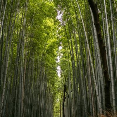 陈竺主持中国全国人大与法国国民议会交流机制第十一次会议（视频）对话会