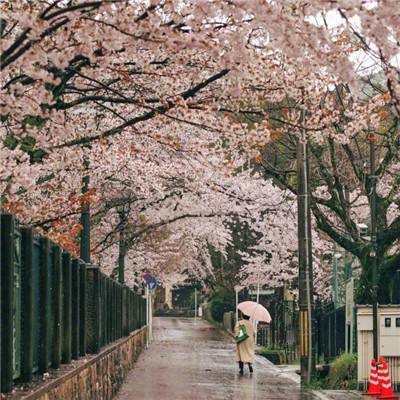 贝碧嘉致河南大暴雨